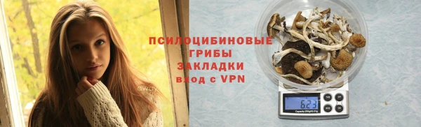 метадон Каменка