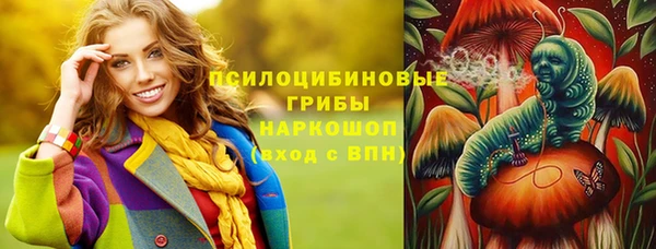 mdpv Каменногорск