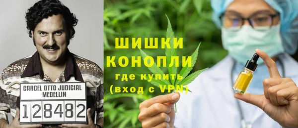 метадон Каменка