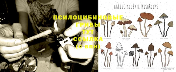 метадон Каменск-Шахтинский