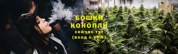 mdpv Каменногорск