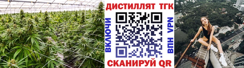 Дистиллят ТГК жижа  купить наркоту  Котово 